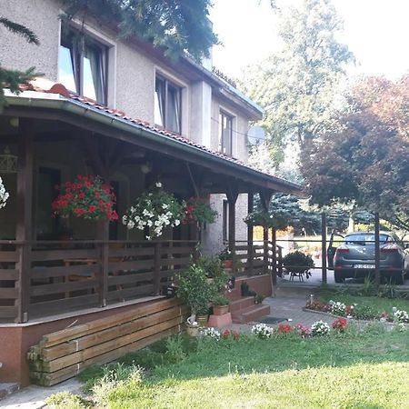 Antonowka "Pod Dudziarzem" Daire Radomierz Dış mekan fotoğraf