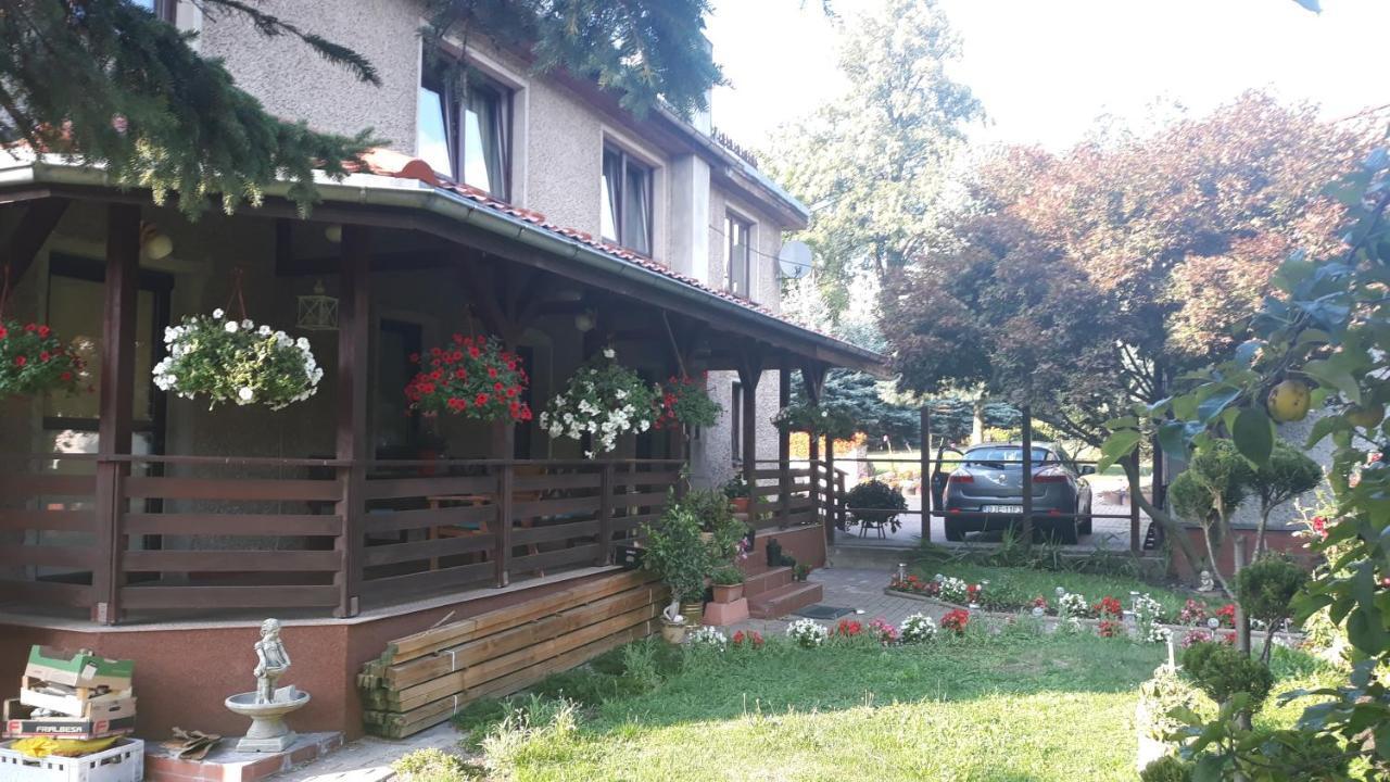Antonowka "Pod Dudziarzem" Daire Radomierz Dış mekan fotoğraf